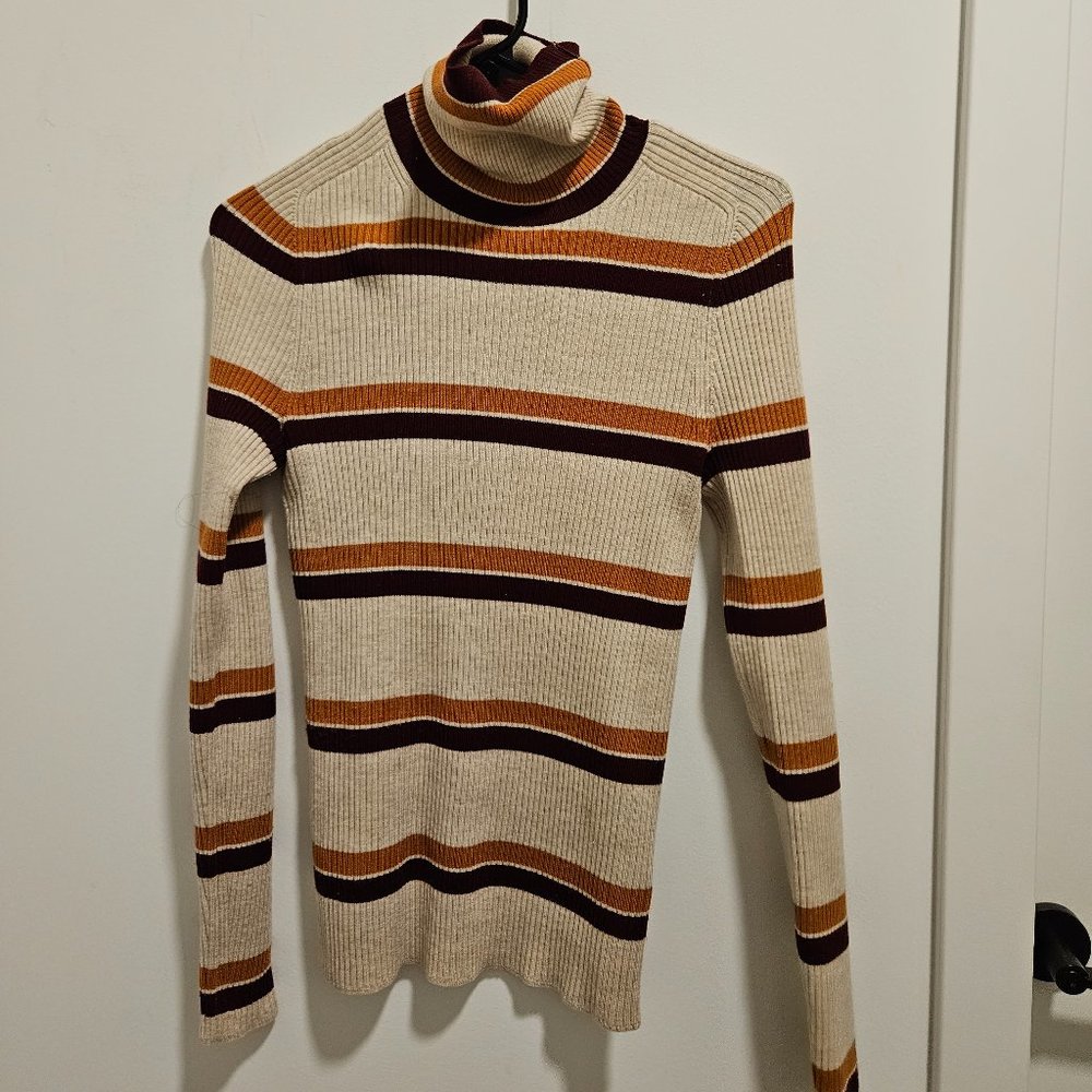 Everlane Turtleneck Fall top